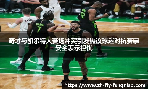 奇才与凯尔特人赛场冲突引发热议球迷对抗赛事安全表示担忧