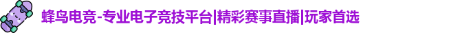 蜂鸟电竞